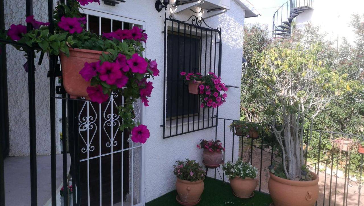 Bed and Breakfast El Rincon De La Quinta Calpe Zewnętrze zdjęcie