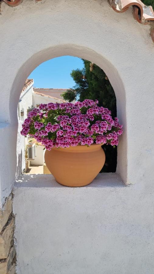 Bed and Breakfast El Rincon De La Quinta Calpe Zewnętrze zdjęcie